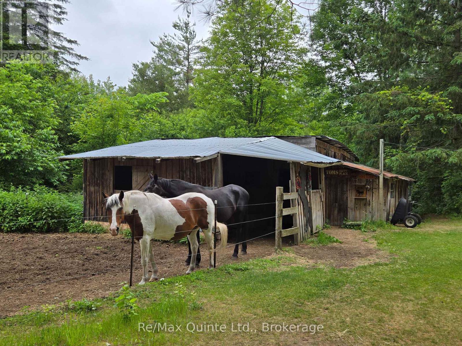 690 POTTER SETTLEMENT ROAD - 13