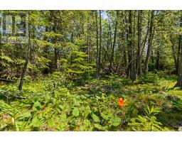 6 Island View Road, Northern Bruce Peninsula, ON N0H1W0 Photo 17