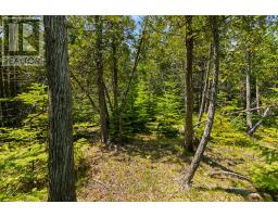 6 Island View Road, Northern Bruce Peninsula, ON N0H1W0 Photo 19