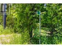 6 Island View Road, Northern Bruce Peninsula, ON N0H1W0 Photo 8