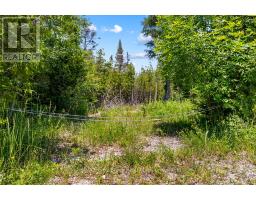6 Island View Road, Northern Bruce Peninsula, ON N0H1W0 Photo 9