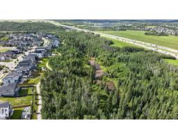 4707 Woolsey Cm Sw, Edmonton, AB T6W2E2 Photo 59