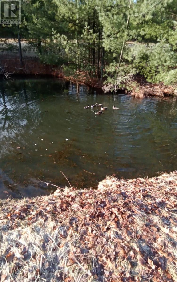 690 POTTER SETTLEMENT ROAD - 7
