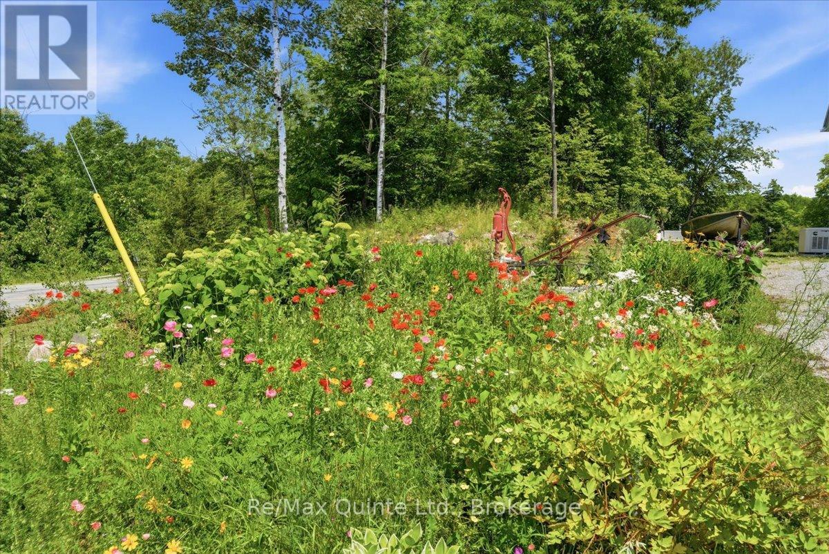 11828 ROAD 38 - Image 41