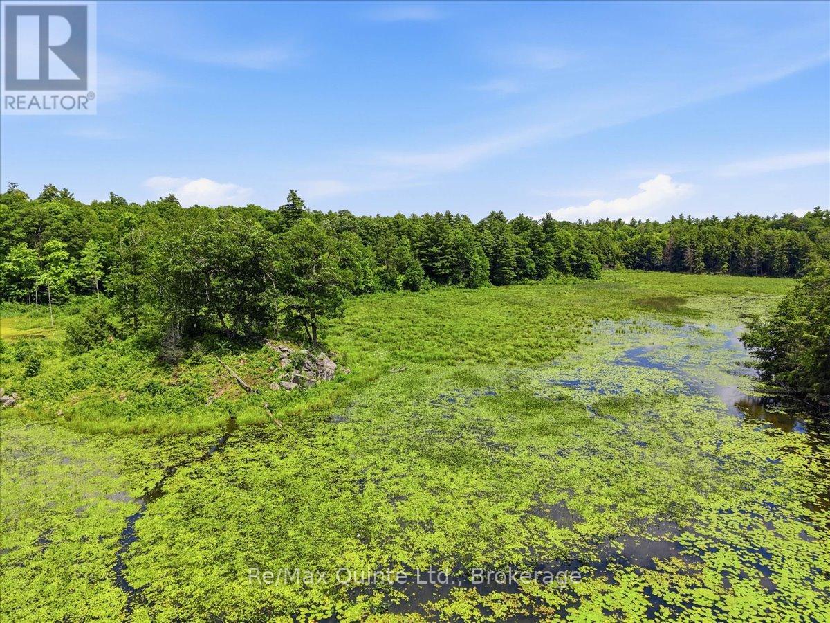 11828 ROAD 38 - Image 43