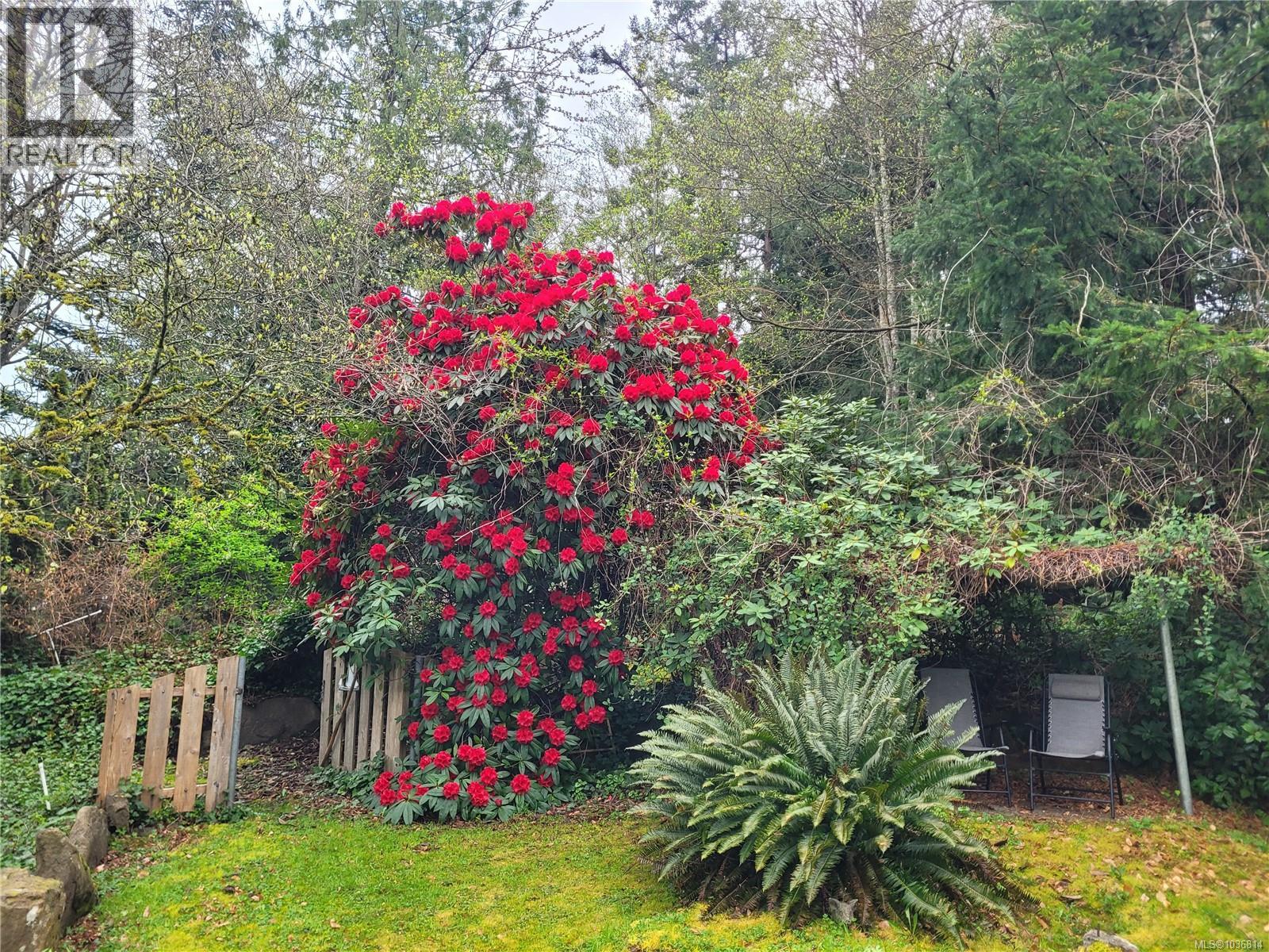 369 Baker Rd - 57