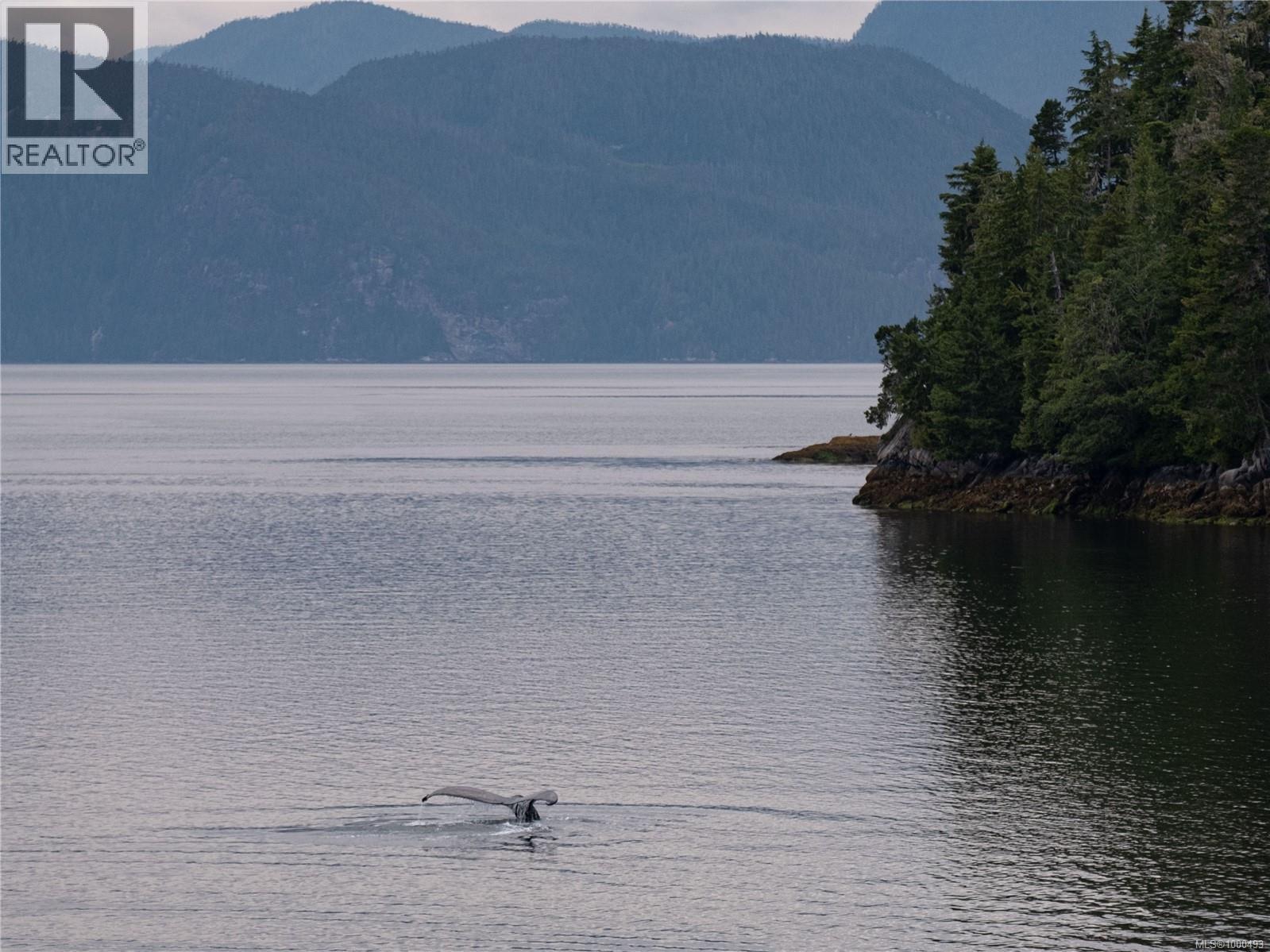 SL5 Echo Bay - 12