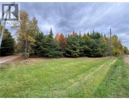Blueberry Lane, photo 3