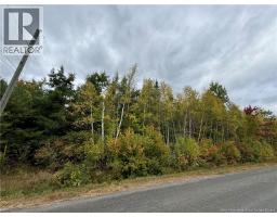 Blueberry Lane, photo 4