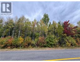 Blueberry Lane, photo 5
