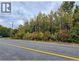 Blueberry Lane, photo 6