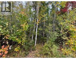 Blueberry Lane, photo 7