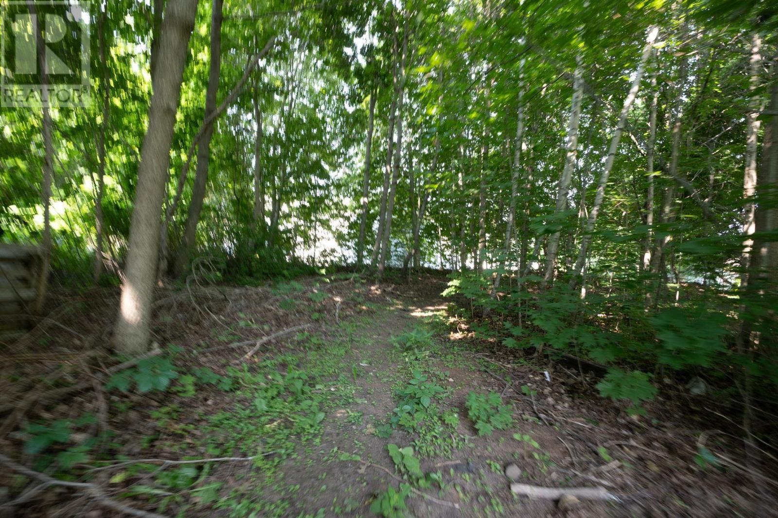 118 Belcher Street - 3