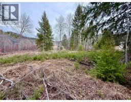 325 4th Street, Greenwood, BC V0H1J0 Photo 13