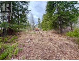325 4th Street, Greenwood, BC V0H1J0 Photo 14