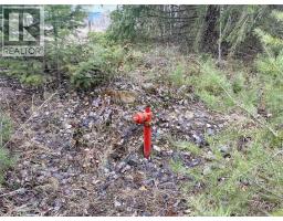325 4th Street, Greenwood, BC V0H1J0 Photo 15