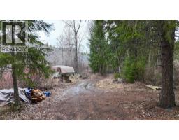 325 4th Street, Greenwood, BC V0H1J0 Photo 6