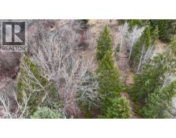 325 4th Street, Greenwood, BC V0H1J0 Photo 8
