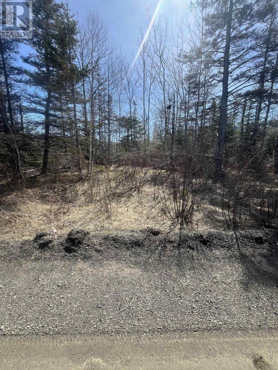 Property 5 of 16 of Lot Hampton Mountain Road