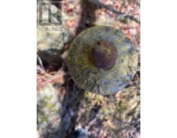Lot Hampton Mountain Road, Hampton, NS B0S1L0 Photo 8