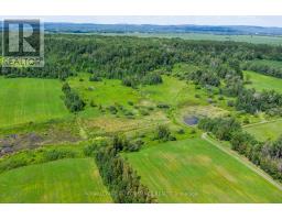 N/a (part Lot 16, Con 2) County 17 Road, Alfred And Plantagenet, ON K0B1L0 Photo 6