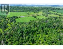 N/a (part Lot 16, Con 2) County 17 Road, Alfred And Plantagenet, ON K0B1L0 Photo 7
