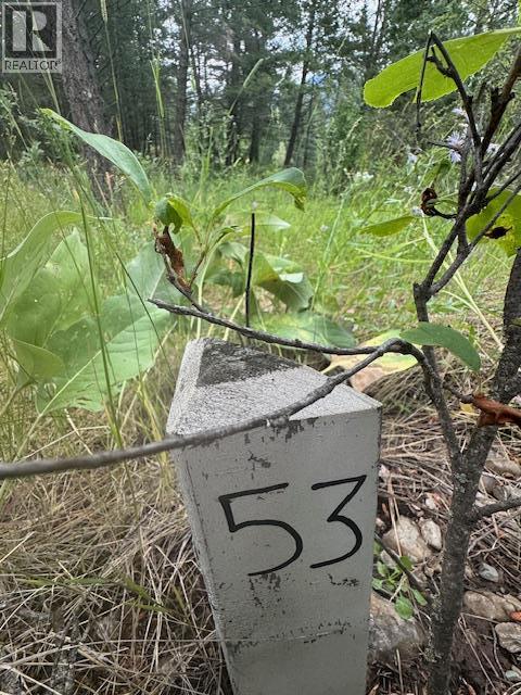 Lot 53 Hirtz Street, Elko — photo 2