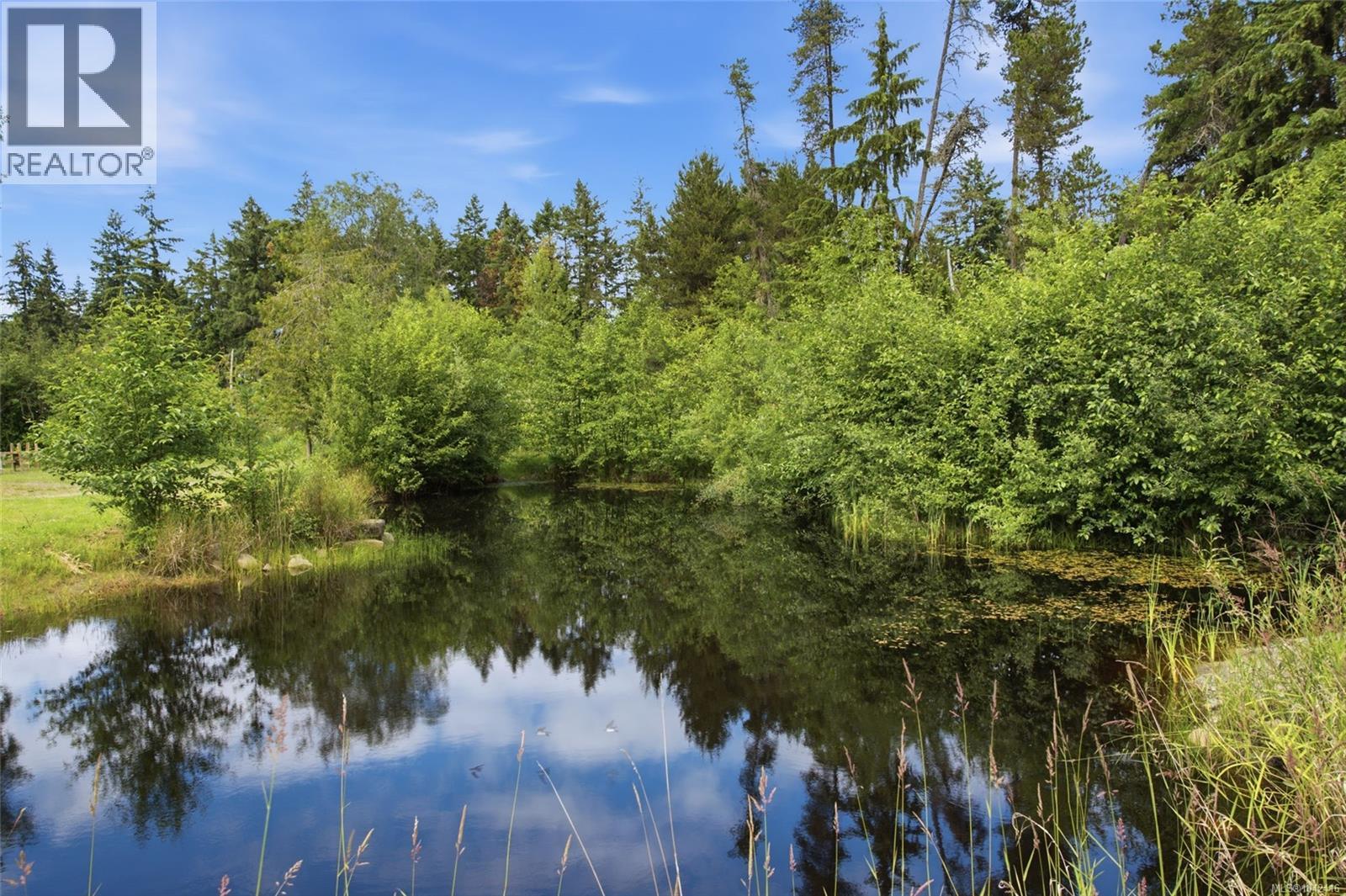 1144 Bellevue Rd - 62