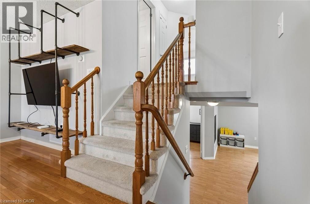 56 GOLDEN ACRES Drive - 19
