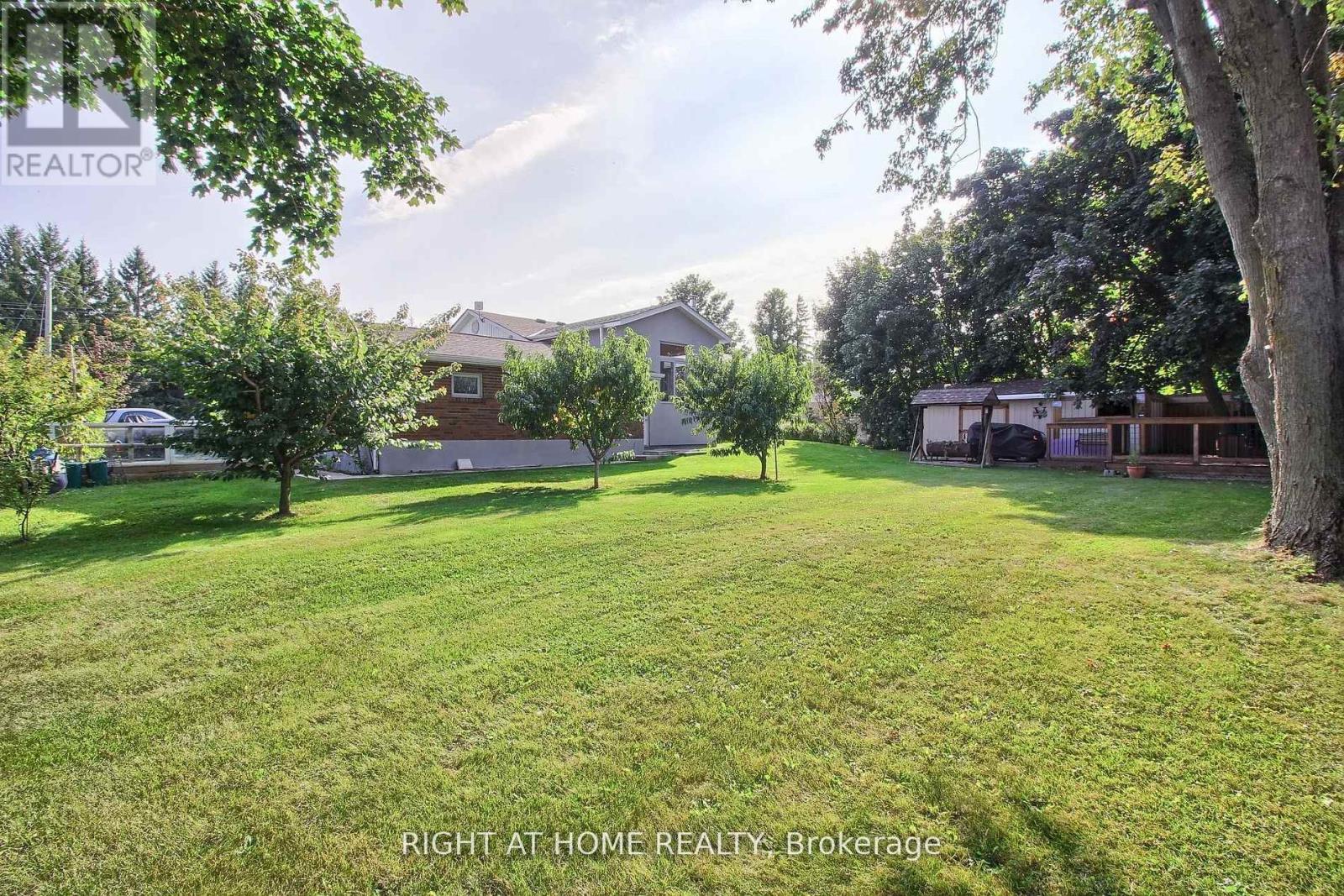 Huge Backyard