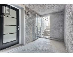 3800 County 88 Road, Bradford West Gwillimbury, ON L3Z3K7 Photo 28