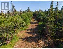Front Acre Lot Conroad Beach Road, Lower East Chezzetcook, NS B0J2L0 Photo 19