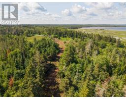 Front Acre Lot Conroad Beach Road, Lower East Chezzetcook, NS B0J2L0 Photo 23