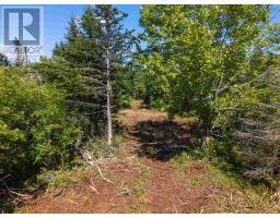 Front Acre Lot Conroad Beach Road, Lower East Chezzetcook, NS B0J2L0 Photo 24