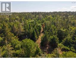 Front Acre Lot Conroad Beach Road, Lower East Chezzetcook, NS B0J2L0 Photo 8