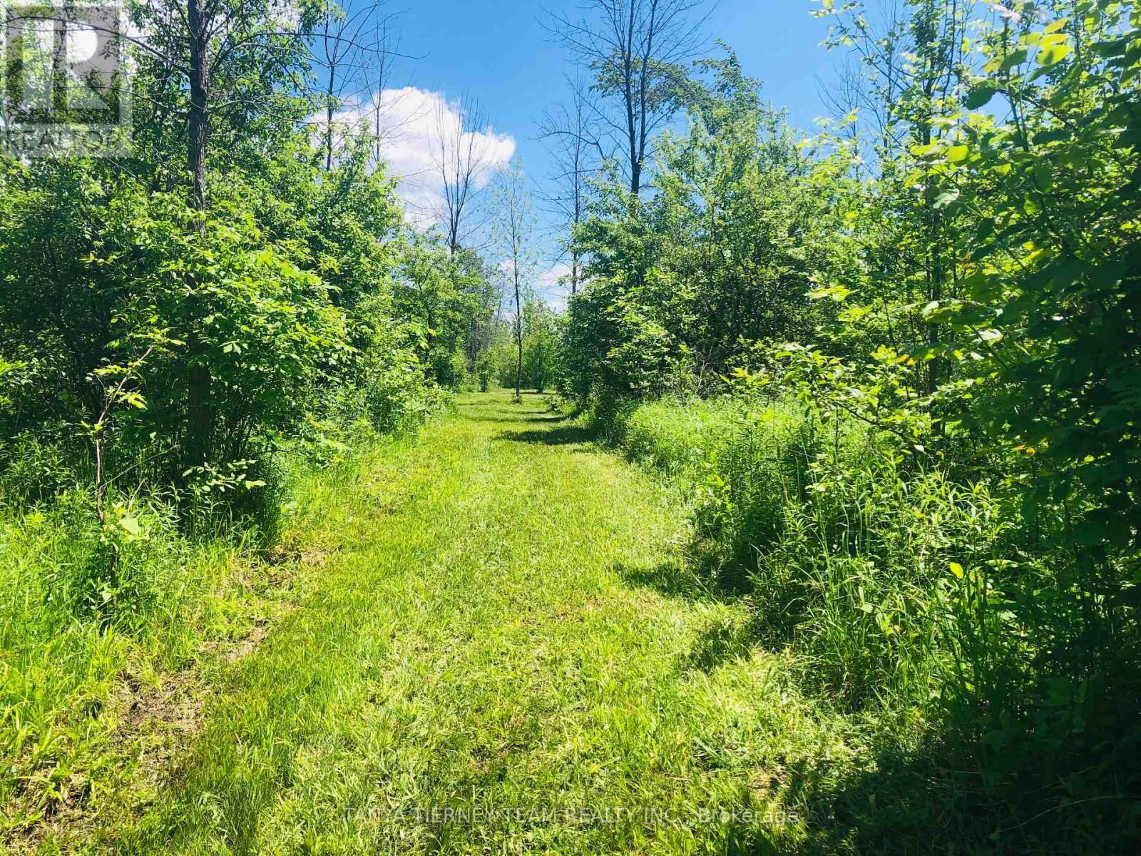 2640 CONCESSION 8 ROAD - 41