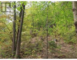 1047 & 1049 Prince Lake Rd, Prince, ON P6A6K4 Photo 16