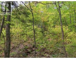 1047 & 1049 Prince Lake Rd, Prince, ON P6A6K4 Photo 19