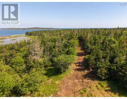 40  Acre Lot Conrod Beach Road, Lower East Chezzetcook, NS B0J2L0 Photo 13