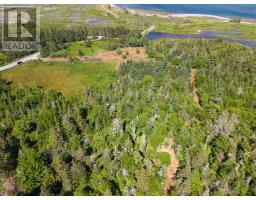 40  Acre Lot Conrod Beach Road, Lower East Chezzetcook, NS B0J2L0 Photo 6