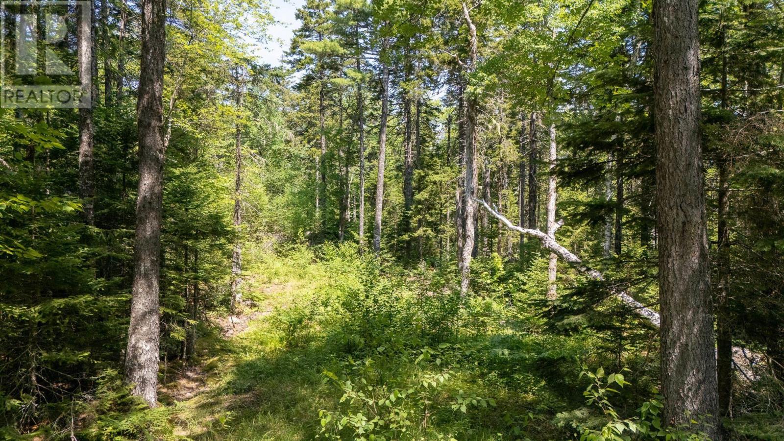 Property 20 of 26 of Lot 116 Village Road