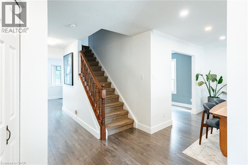 277 CANTERBURY Drive - 13