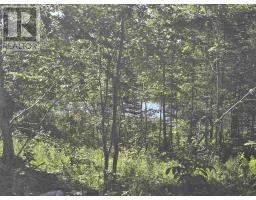 417 Creek Rd, Prince Township, ON P6A6K4 Photo 9