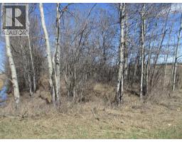 Nw-20-83-2-w6th, Rural Clear Hills County, AB T0H2L0 Photo 11