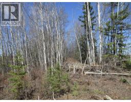 Nw-20-83-2-w6th, Rural Clear Hills County, AB T0H2L0 Photo 7