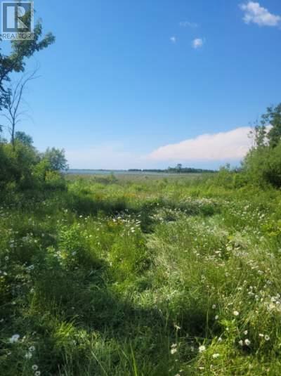 2440 Highway 540, Little Current — photo 2