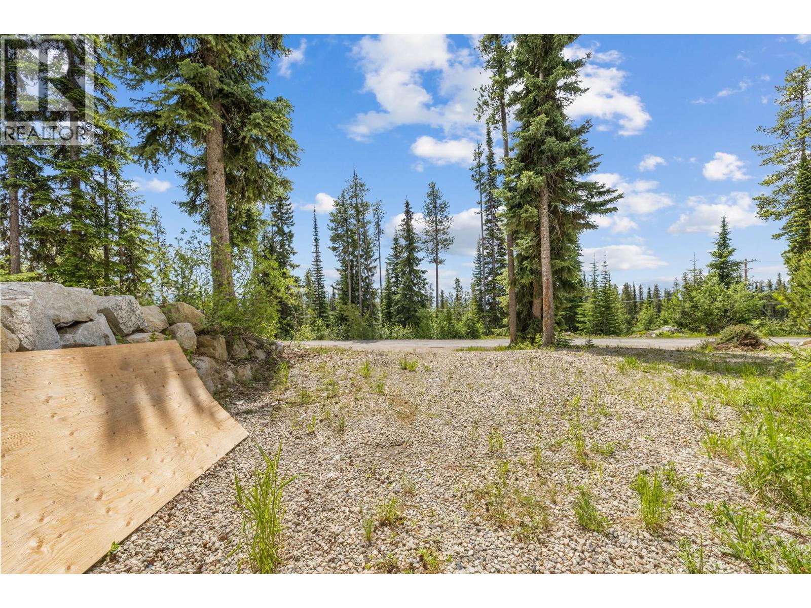 4879A Snowpines Road - 46