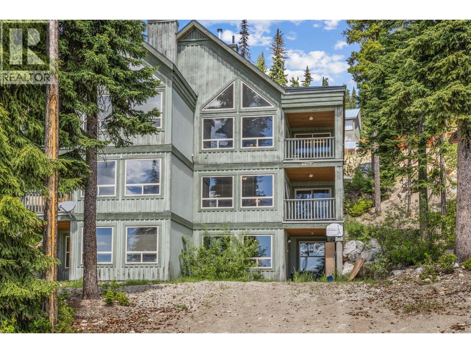 4879A Snowpines Road - 50