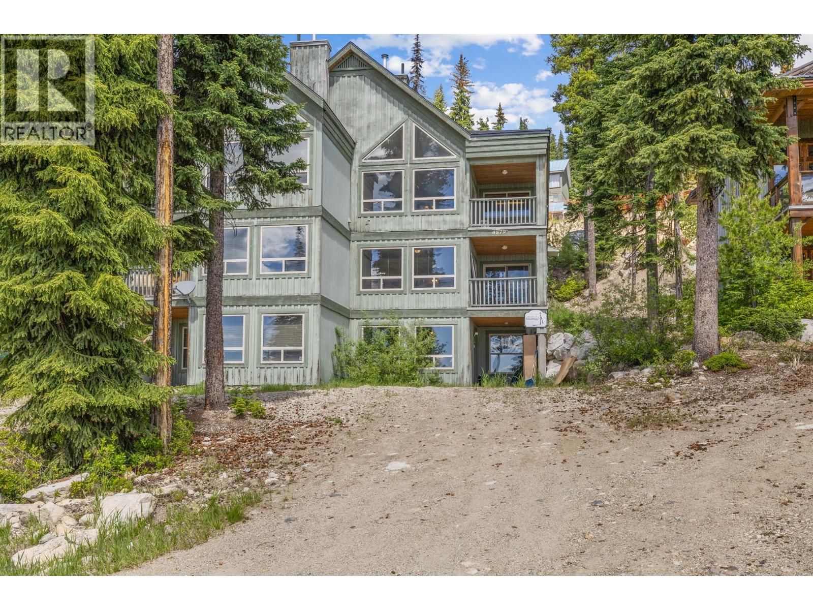 4879A Snowpines Road - 48