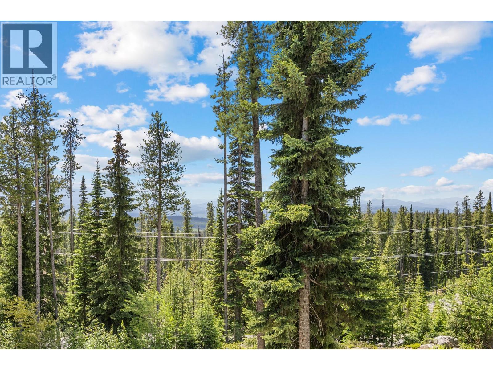 4879A Snowpines Road - 14